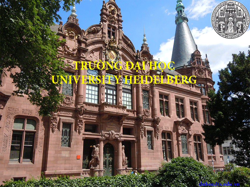 Thông tin trường Đại học Heidelberg