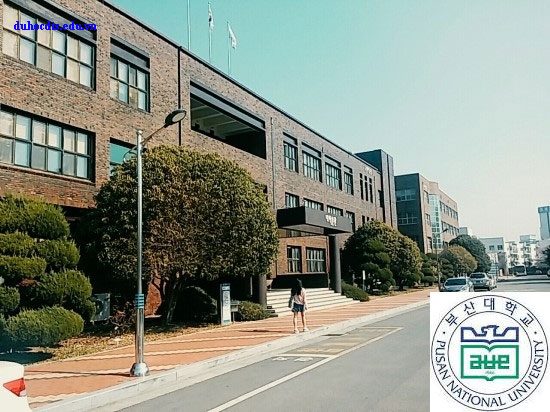 Thông tin trường Đại học quốc gia Pusan